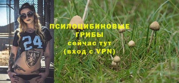 амф Протвино