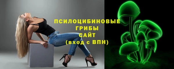сатива Приозерск